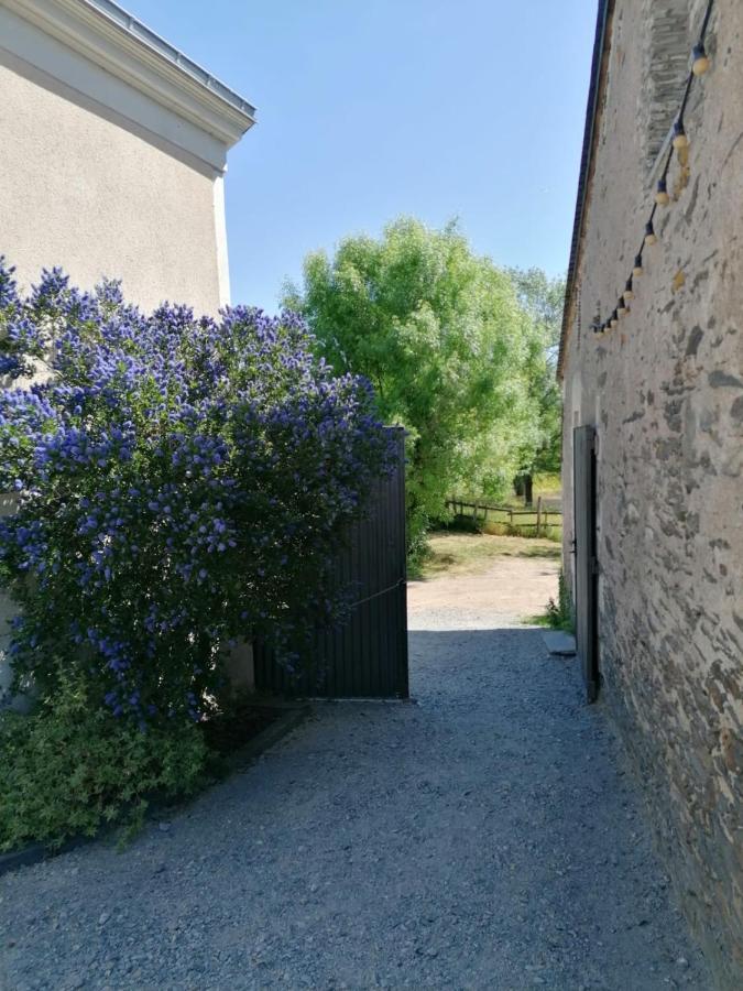 La Petite Boire - Chambres D'Hotes Pres D'Angers Murs-Erigne Exteriör bild